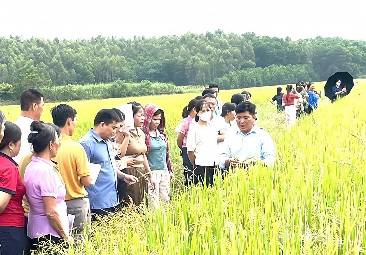 Học viên tham gia lớp tập huấn.
