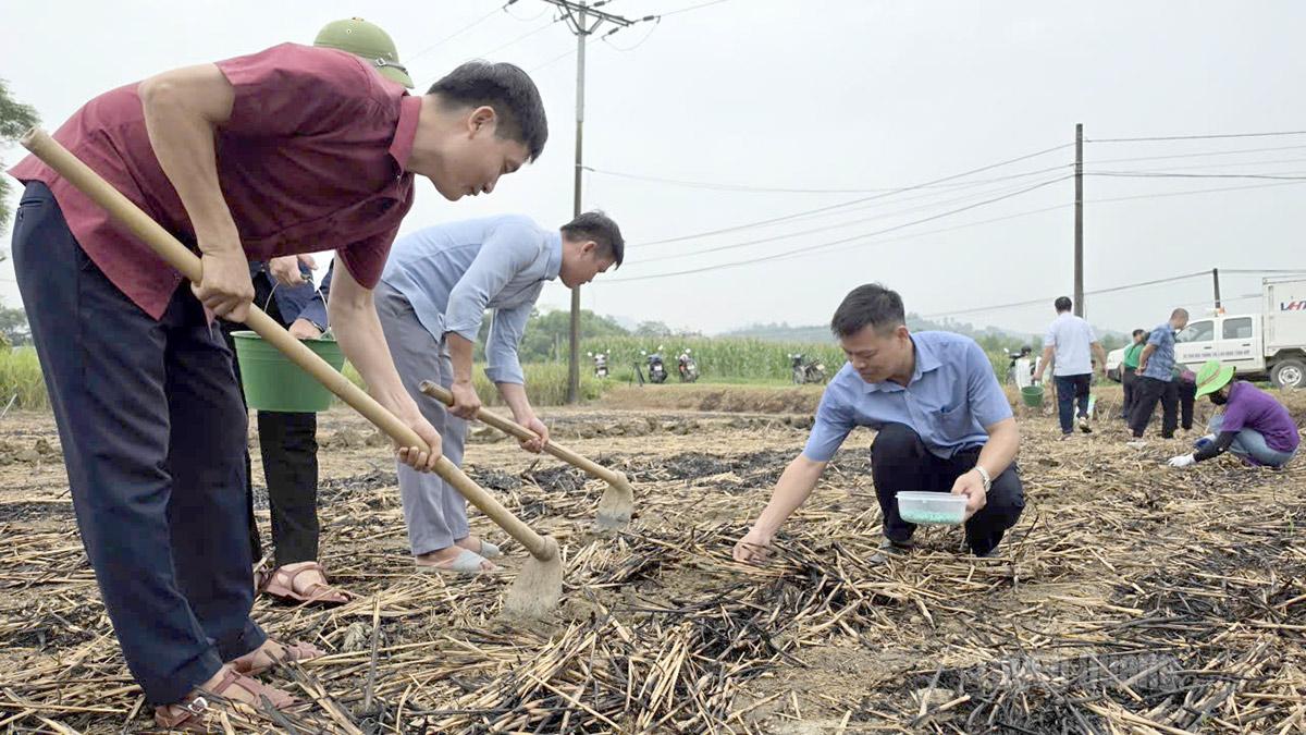 Sau lễ phát động, đông đảo cán bộ, người dân tham gia hưởng ứng trồng cây rau, đậu.