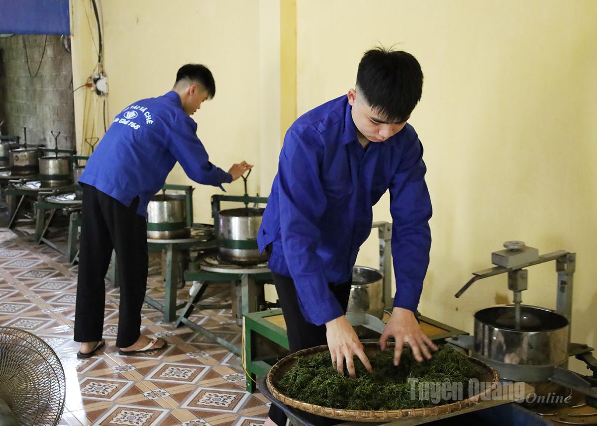 Tan Thai 168 Cooperative (Ham Yen commune) creates regular jobs for local people.