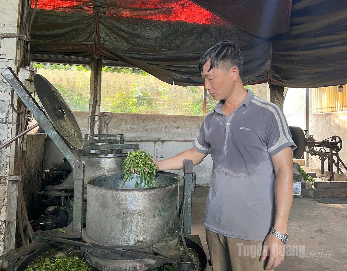 Xưởng chè của anh Trịnh Viết Ngọc là một trong những xưởng chè đầu tiên ở Trung Long.