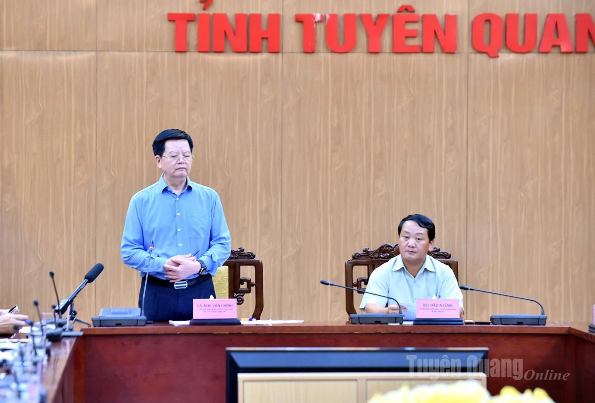 Phó Thủ tướng Chính phủ Mai Văn Chính phát biểu chỉ đạo tại buổi làm việc.