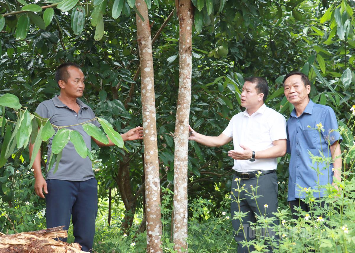 Lãnh đạo xã Đồng Tâm kiểm tra tình hình phát triển rừng trên địa bàn.