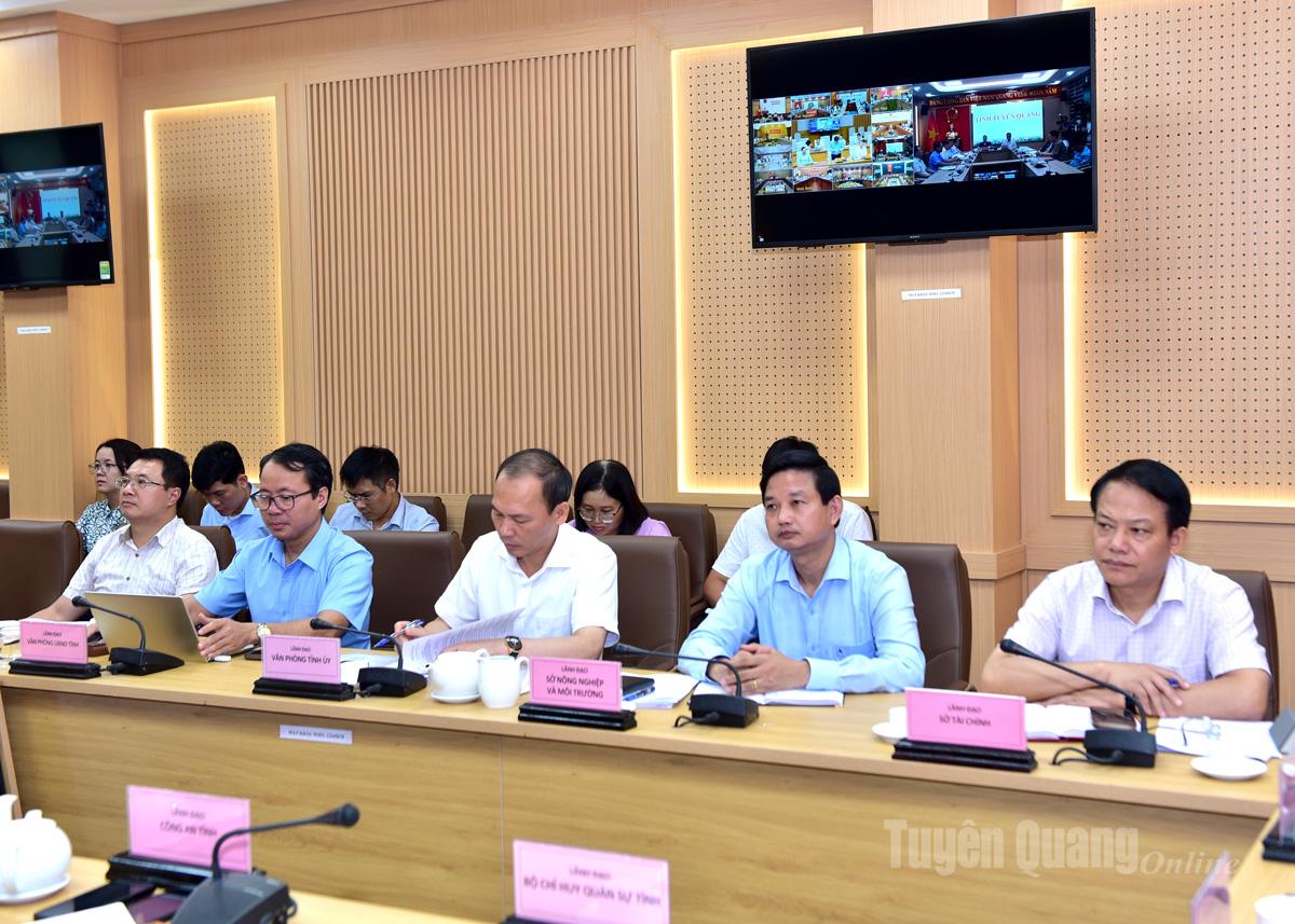 Lãnh đạo các sở, ngành dự họp tại điểm cầu Tuyên Quang.
