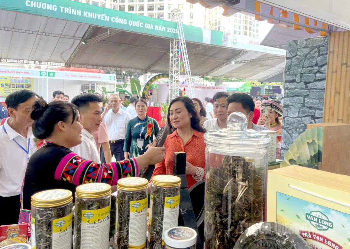 Bà Phan Thị Thắm, Thứ trưởng Bộ Công thương và lãnh đạo Cục Đổi mới sáng tạo, Chuyển đổi xanh và Khuyến công tham quan gian trưng bày của tỉnh Tuyên Quang.