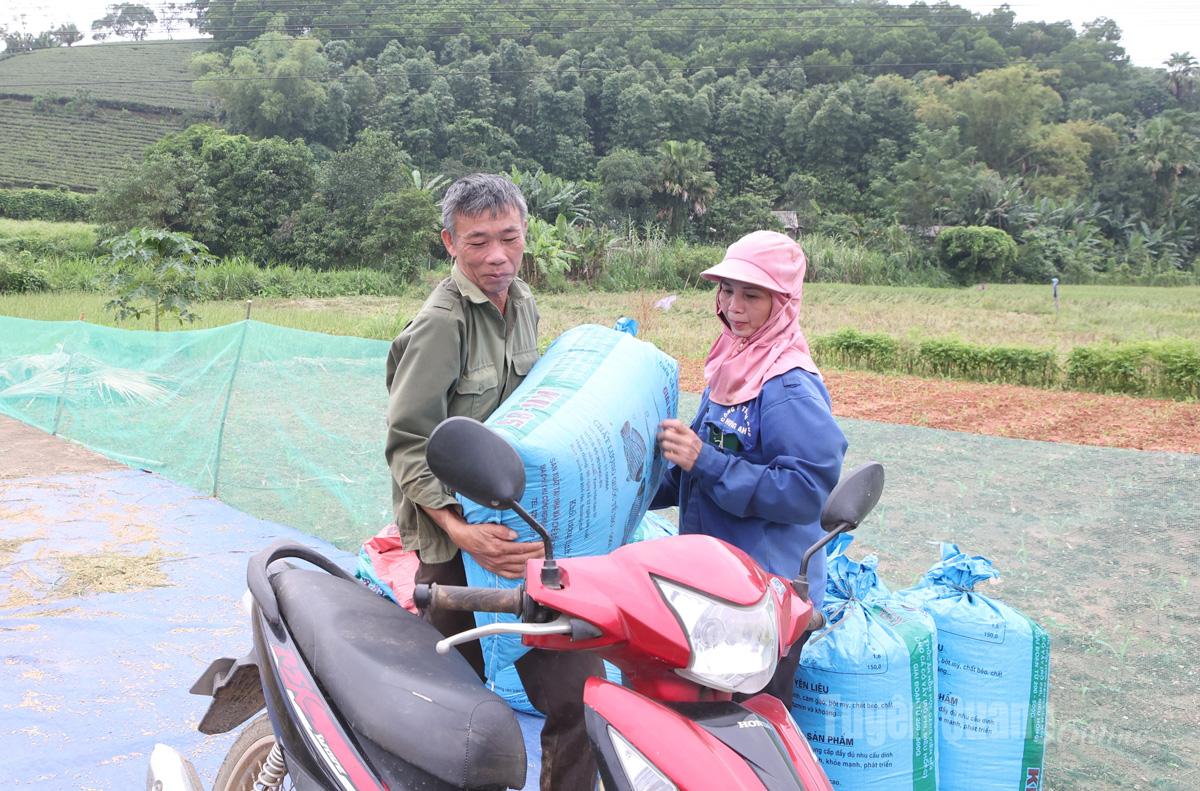 Across the fields, villagers are busily transporting rice home.