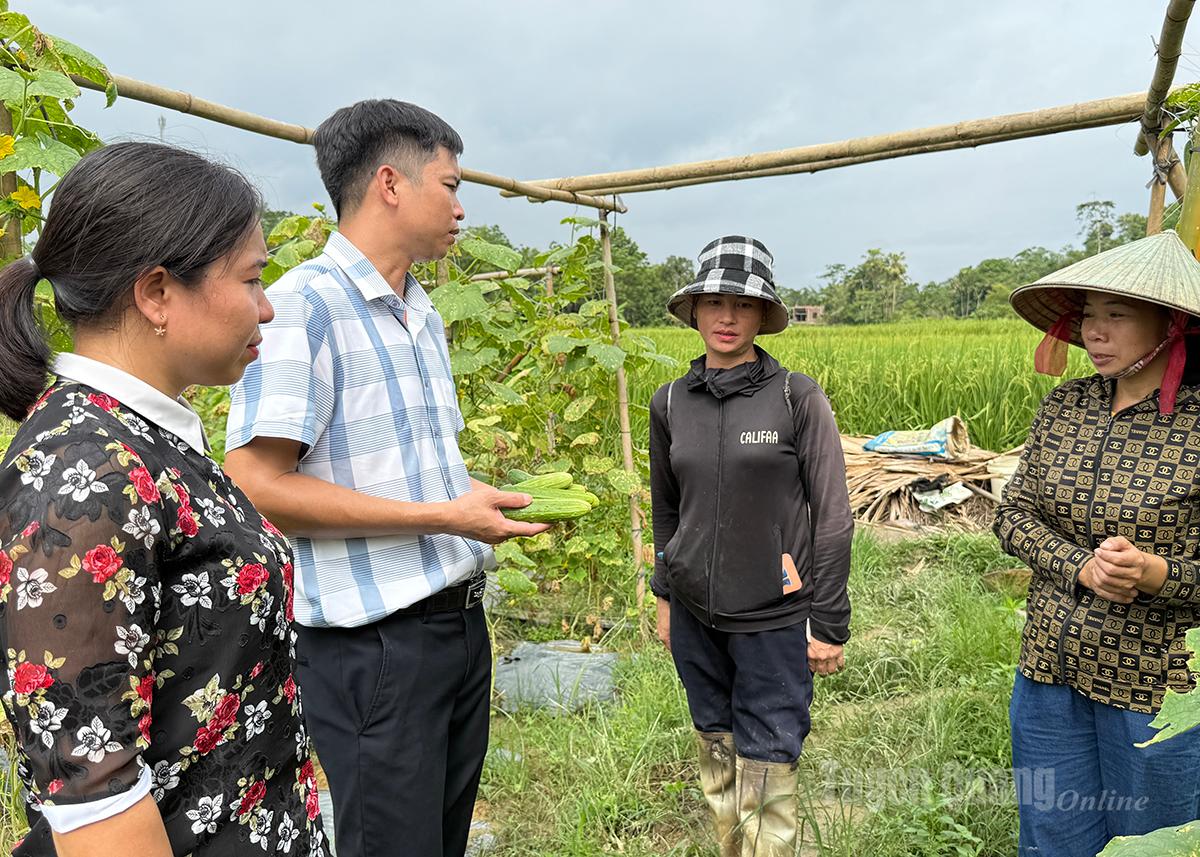 UBND xã Tân Mỹ đẩy mạnh việc liên kết, tiêu thụ nông sản mang lại thu nhập ổn định cho người nông dân.