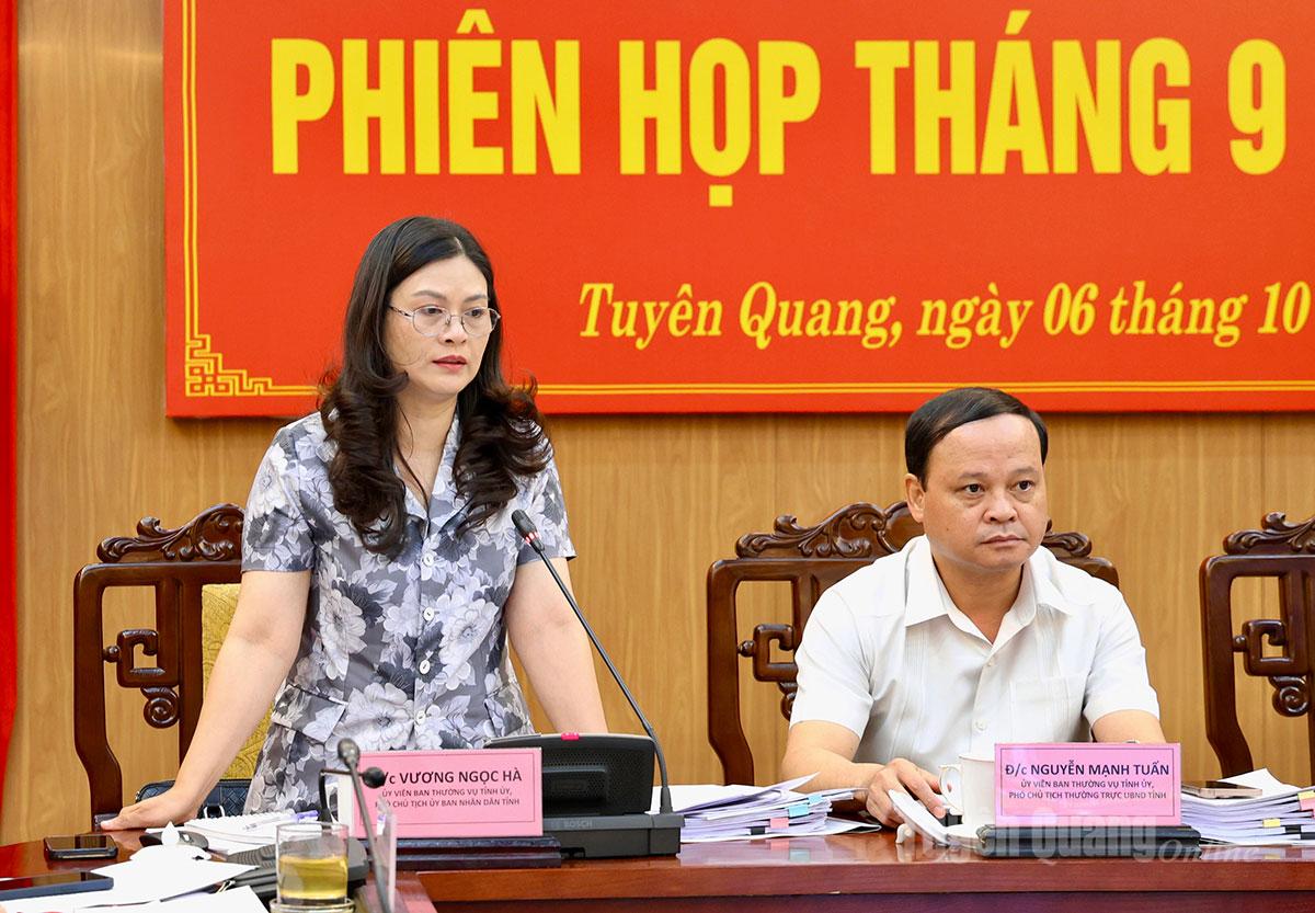 Phó Chủ tịch UBND tỉnh Vương Ngọc Hà phát biểu tại phiên họp.