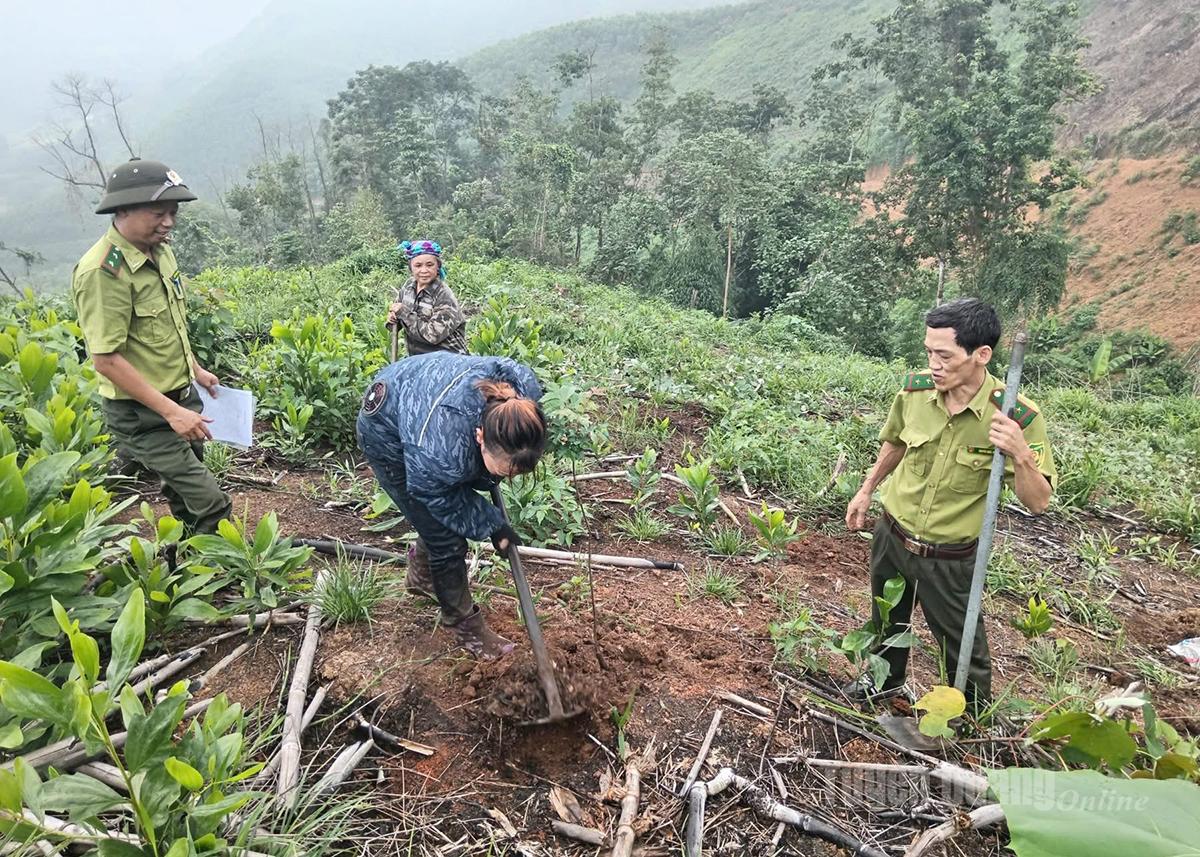 Forestry officers from Region I instruct local people to replant newly established forests.
