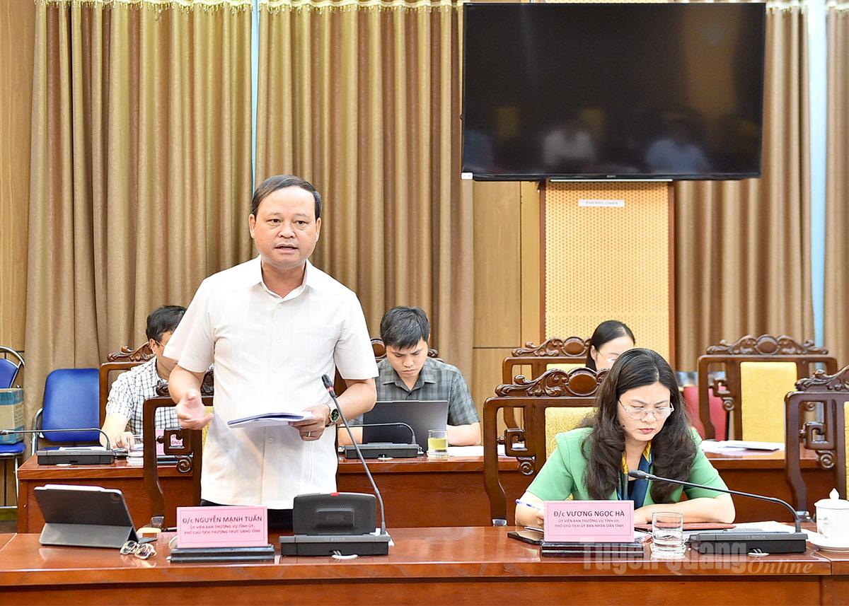 Đồng chí Nguyễn Mạnh Tuấn, Phó Chủ tịch Thường trực UBND tỉnh phát biểu ý kiến tại cuộc họp.
