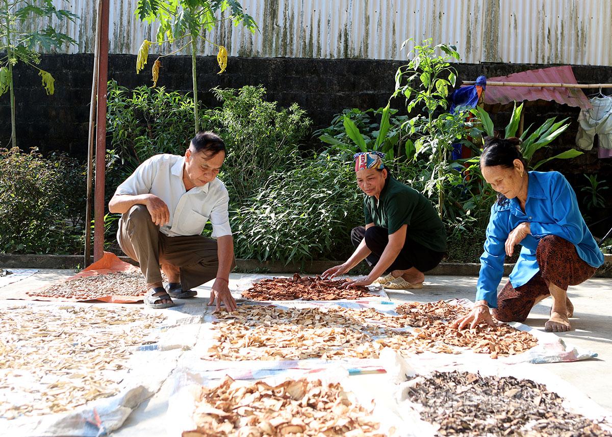 Người dân thôn Thuốc Hạ, xã Hàm Yên phơi thuốc để chuẩn bị gửi cho khách hàng.