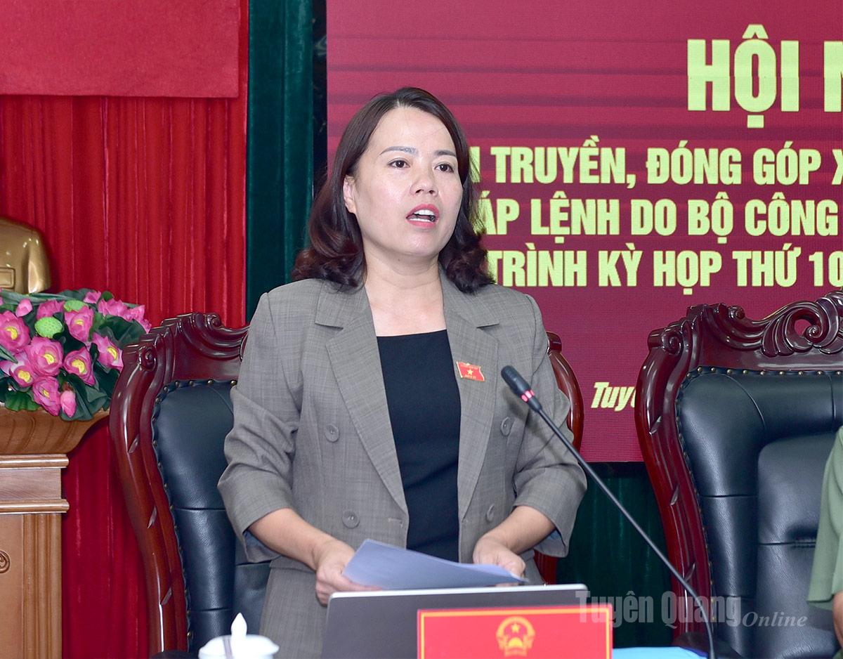  Trưởng Đoàn ĐBQH chuyên trách tỉnh Lý Thị Lan phát biểu kết luận hội nghị.