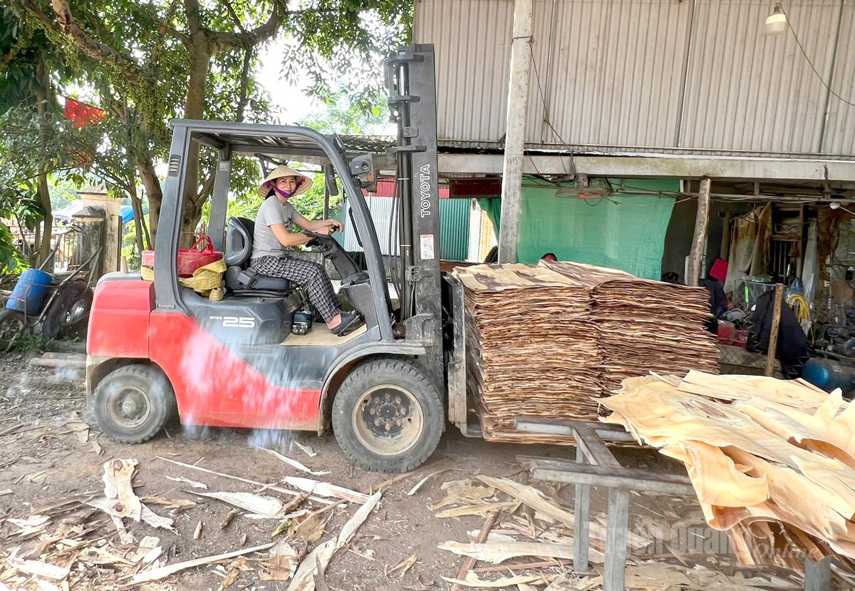  Linh Thị Phương - hoa hậu làng lái xe nâng.