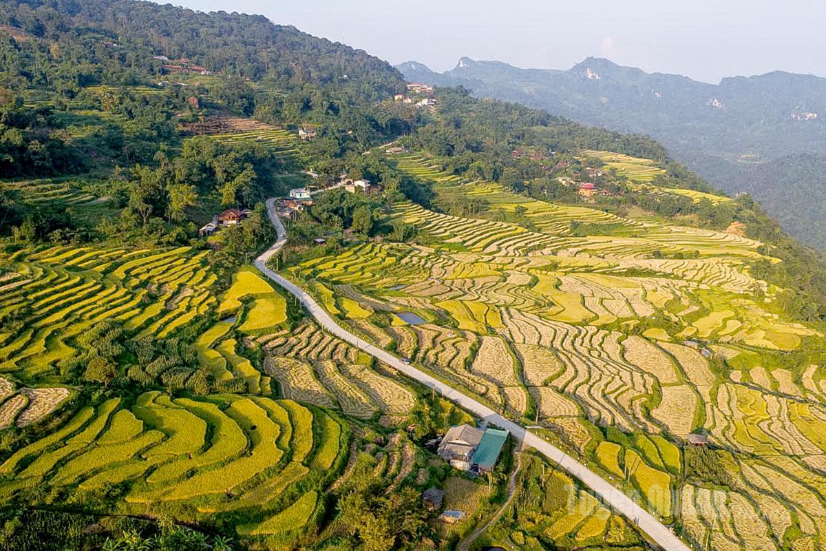 The scene of Khau Trang hamlet, Hong Thai commune during harvest season is truly picturesque.