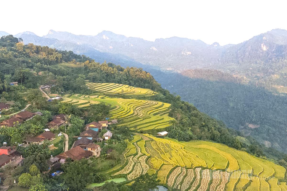 The yin-yang tiled houses of the Dao Tien people nestle closely beside the terraced fields.
