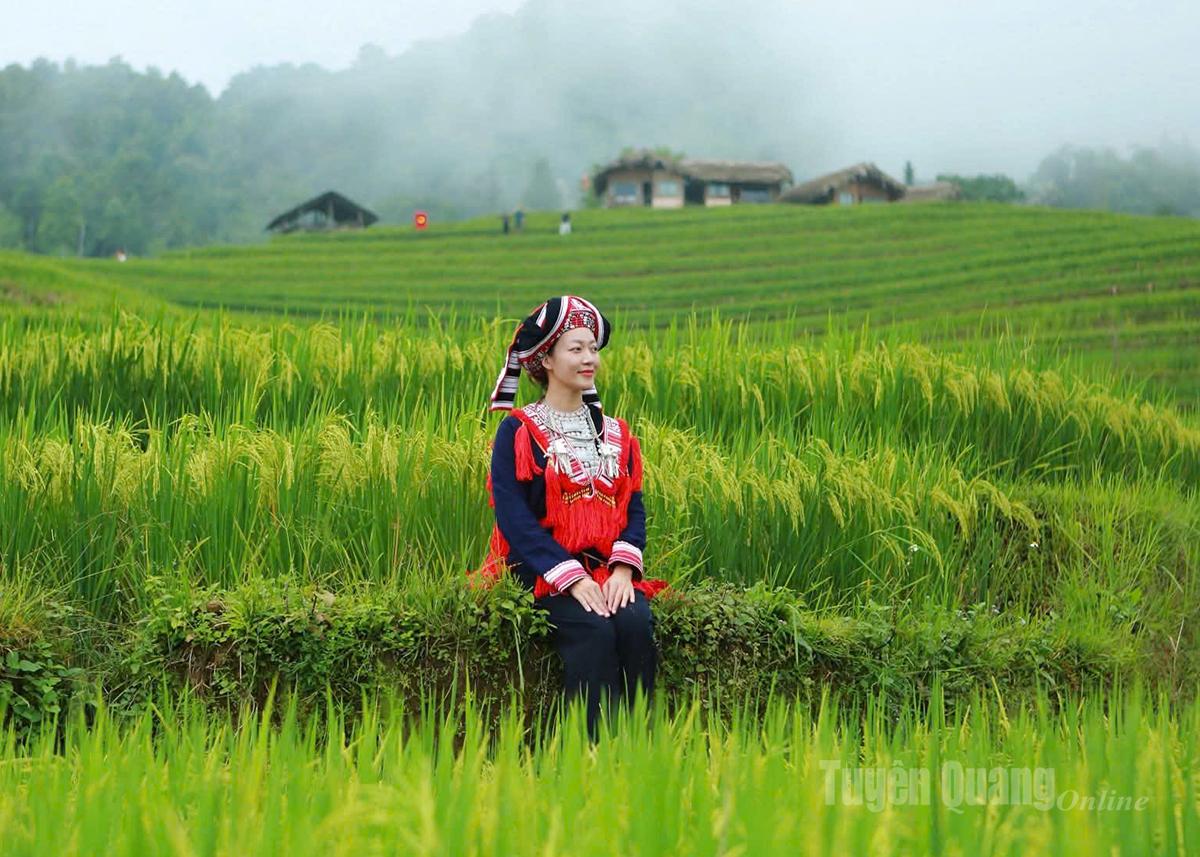 Highland girl amidst the terraced fields of Thong Nguyen.