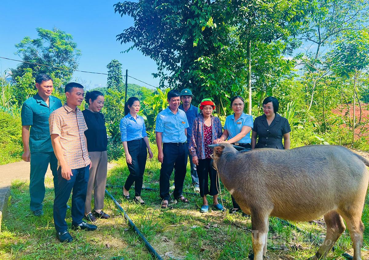 Quỹ tín dụng Việt Lâm
hỗ trợ 
trâu sinh sản cho hộ
 gia đình 
có hoàn cảnh khó khăn 
sau thiên tai.