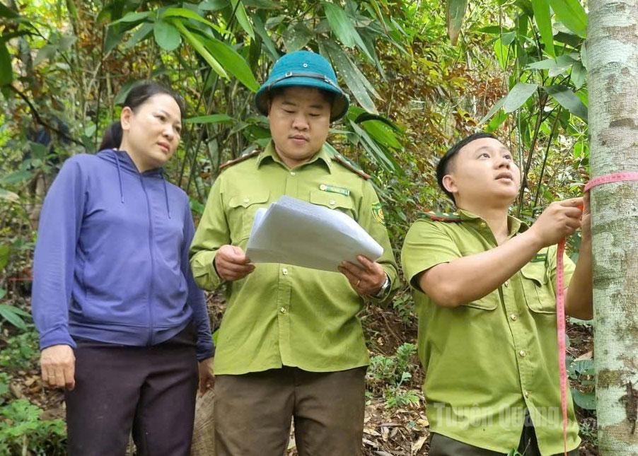 Cán bộ Chi cục Kiểm lâm tỉnh kiểm tra hiện trạng rừng tại xã Ngọc Đường.