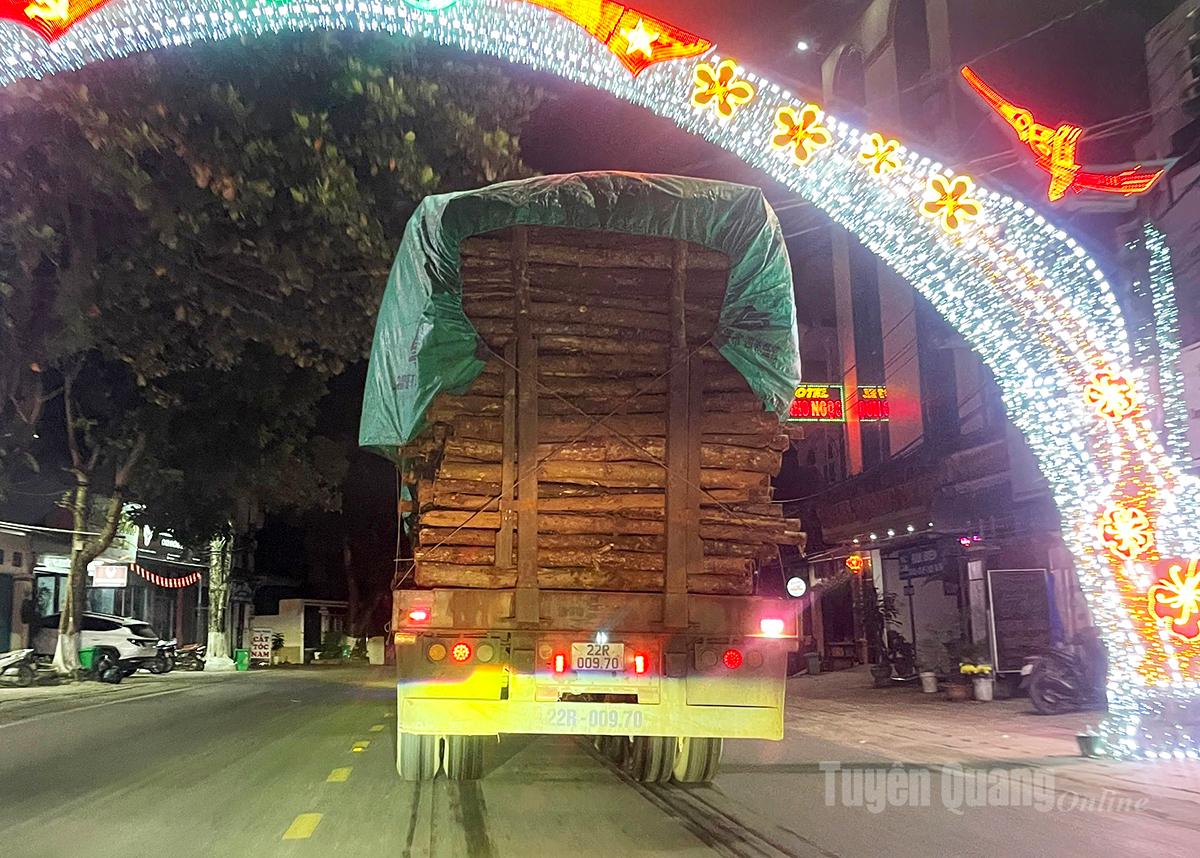 Chiếc xe đầu kéo chở đầy gỗ, chất cao và không an toàn cho người tham gia giao thông ngang nhiên di chuyển trên Quốc lộ 2, địa phận xã Bắc Quang.

