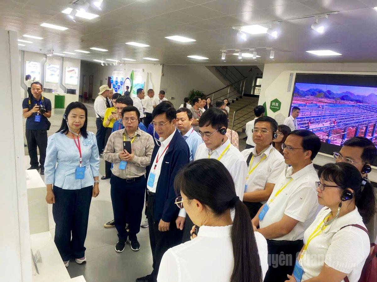 Đoàn công tác thăm khu Công nghiệp Nhôm Xanh Vân Nam.