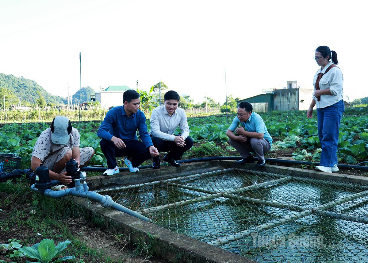 Đoàn tham quan mô hình phát triển kinh tế tại thôn Vĩnh Tiến, xã Quản Bạ.