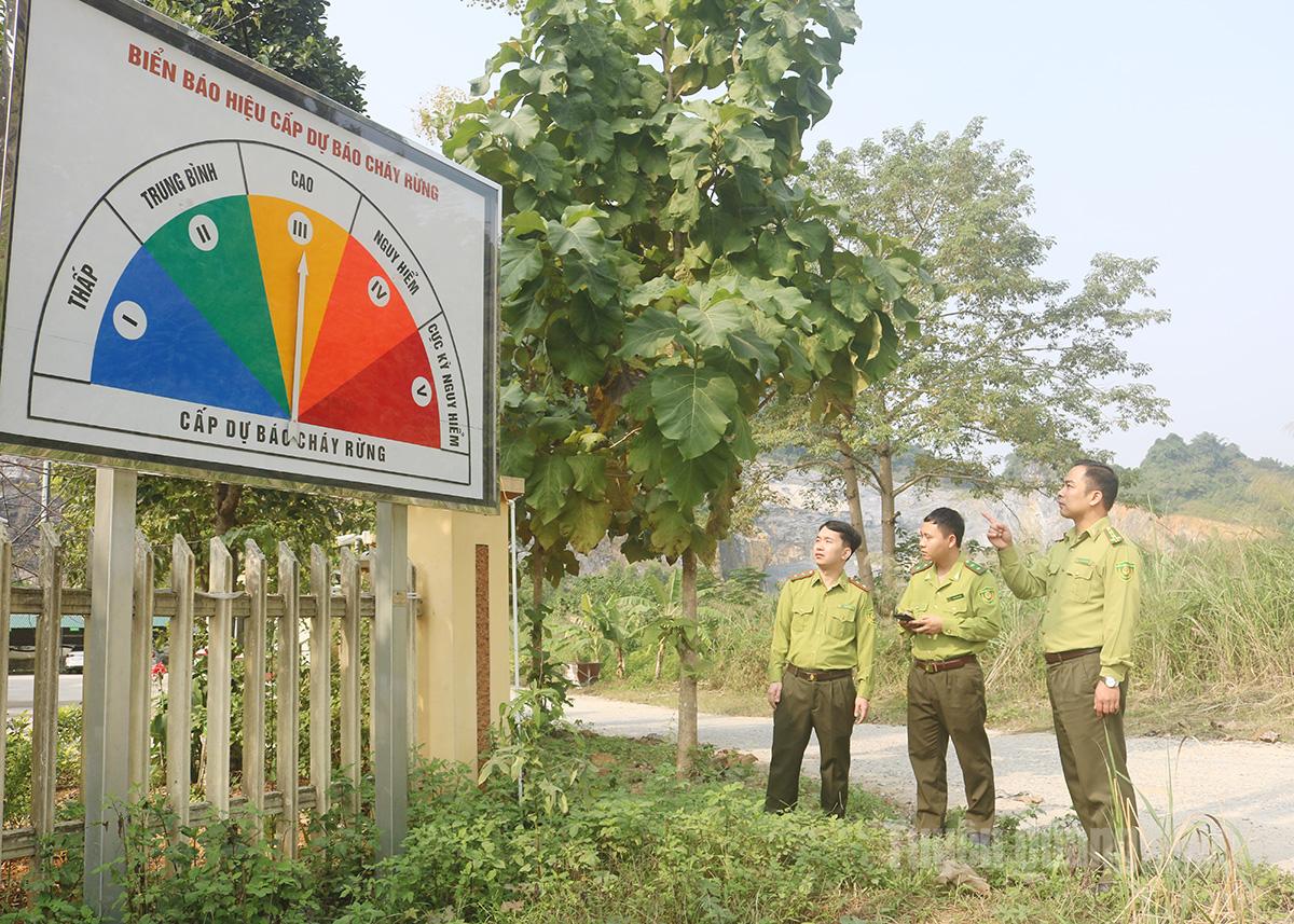 Lãnh đạo Chi cục Kiểm lâm tỉnh kiểm tra hệ thống dự báo cấp độ cháy rừng tự động.