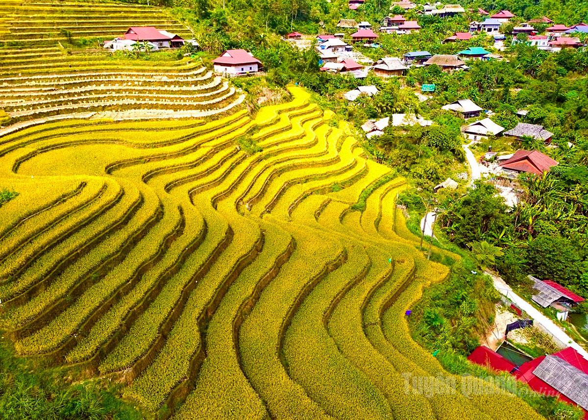 Bản làng thanh bình, no ấm bên sườn Tây Côn Lĩnh, Tuyên Quang.