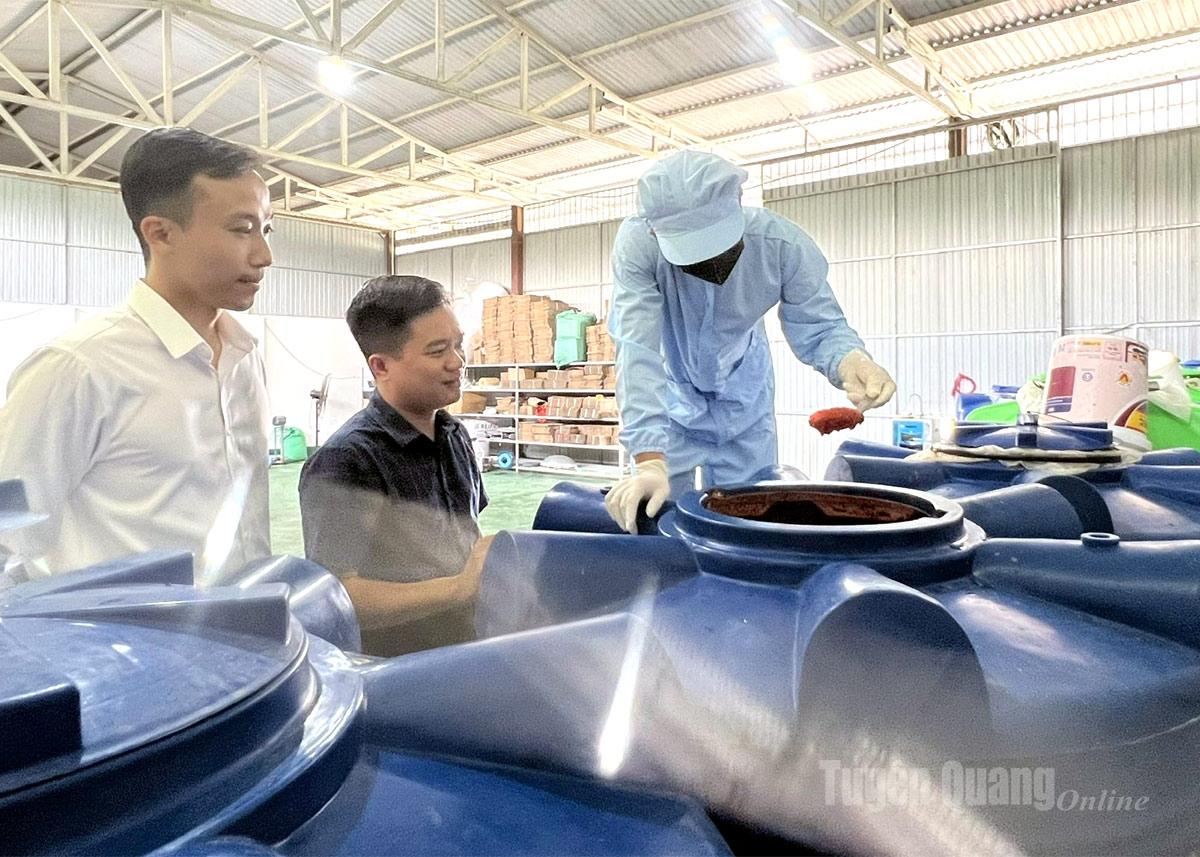 Anh Lương Văn Tuyên (đứng giữa) kiểm tra chất lượng tương ớt lên men.