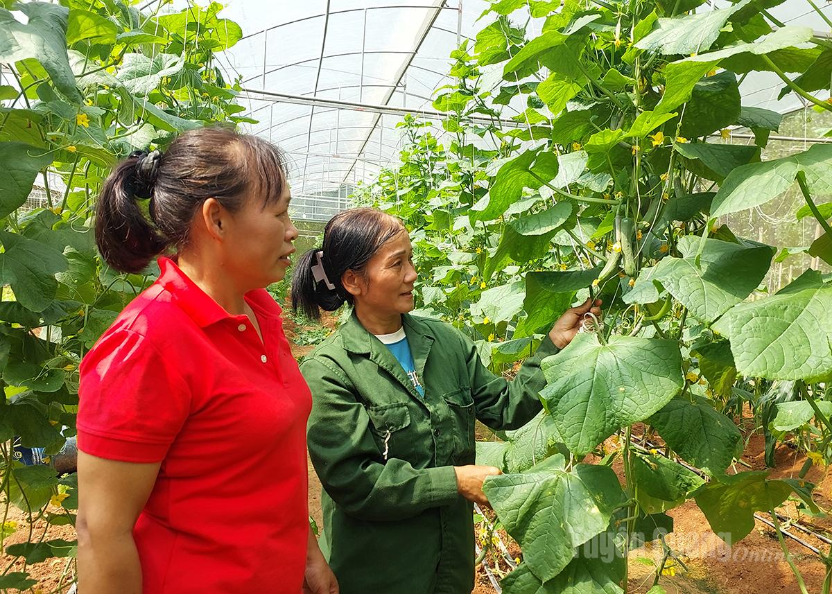 Sau khi được hỗ trợ xây dựng nhà ở, chị Ma Thị Thương (phải) đã đầu tư mô hình nhà lưới trồng rau sạch.