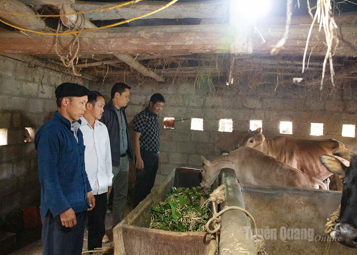 Ông Giàng Chứ Sửu (ngoài cùng bên trái), người có uy tín thôn Má Pắng, xã Đồng Văn tích cực phát triển kinh tế tại địa phương.