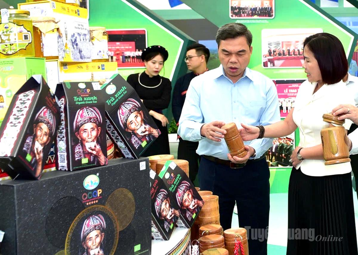 Các sản phẩm chè Shan tuyết sẽ được trưng bày, giới thiệu tại Hội chợ Mùa Thu 2025