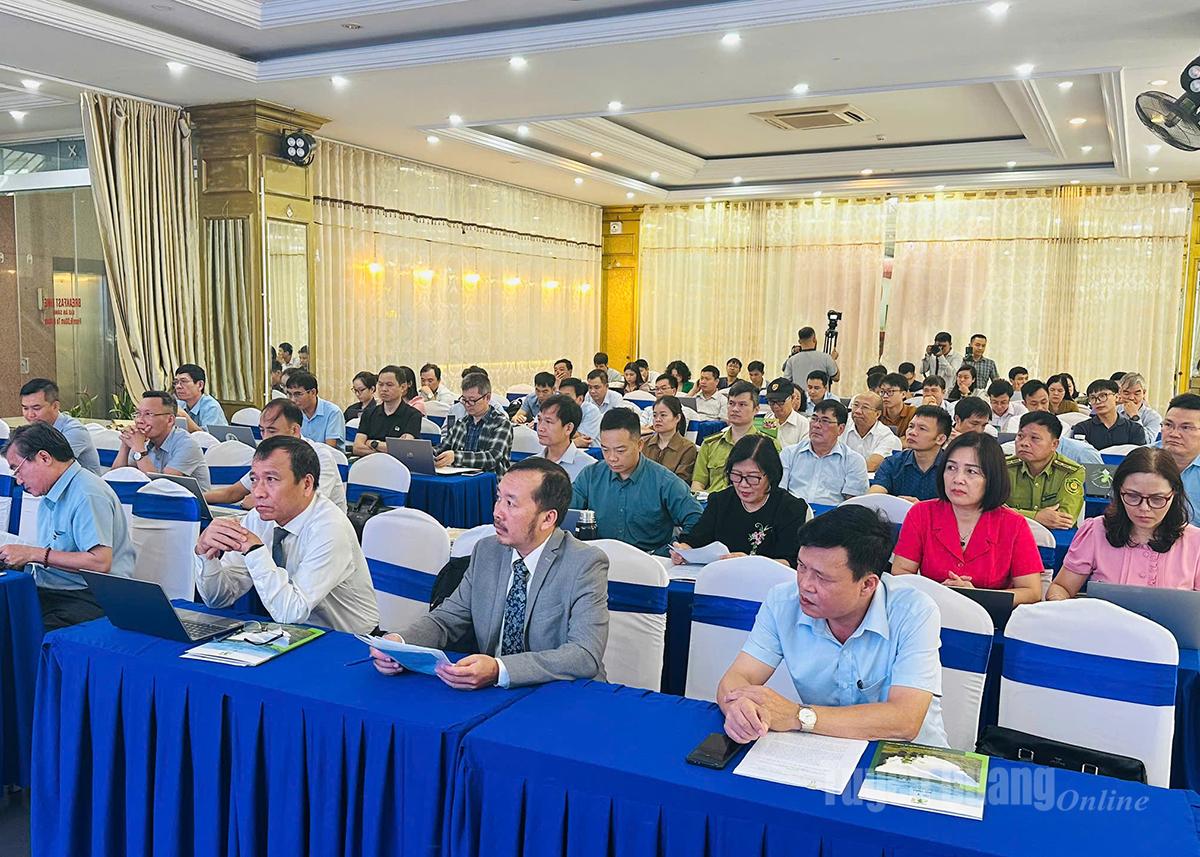 Các đại biểu dự hội thảo.