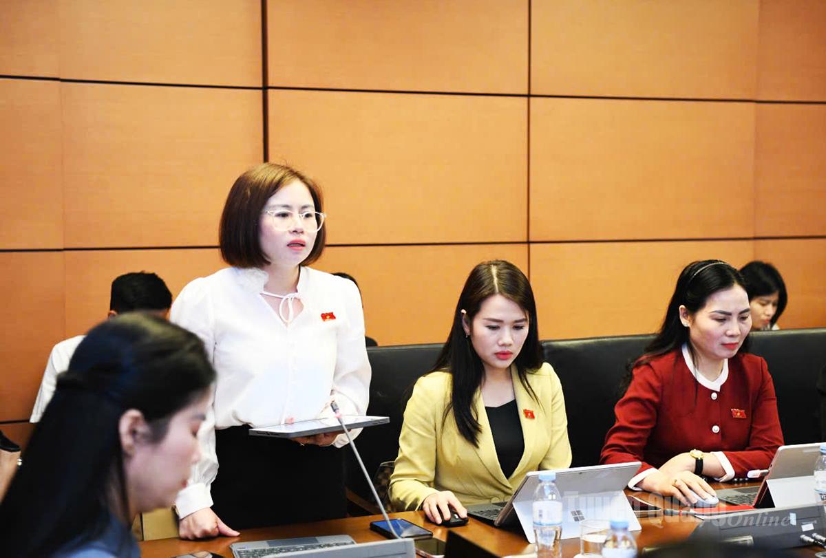 Đại biểu Nguyễn Việt Hà góp ý dự thảo Luật Viên chức 2010.