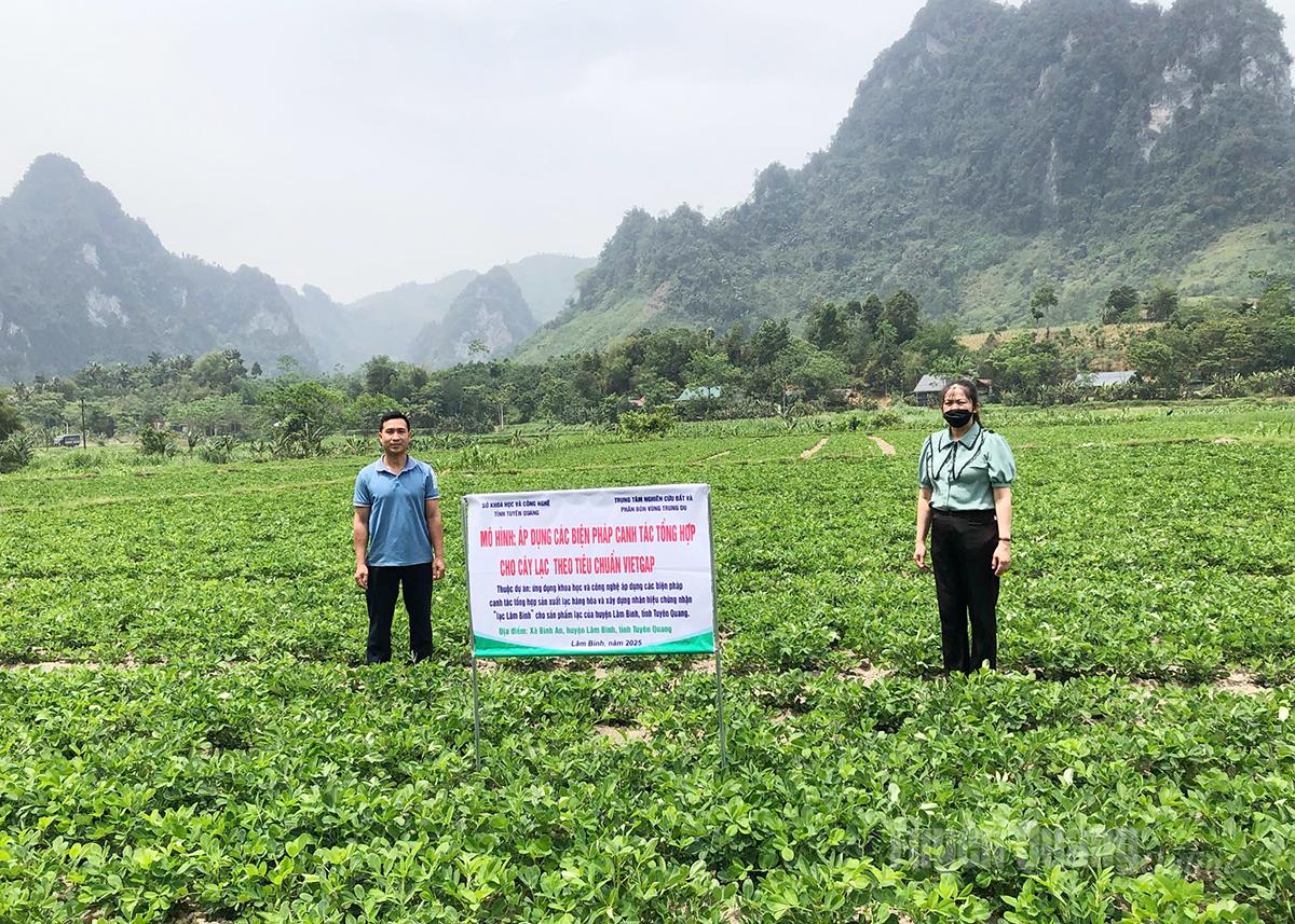 Mô hình “Xây dựng và đăng ký nhãn hiệu chứng nhận Lạc Minh Quang” mang lại hiệu quả kinh tế cho người dân.