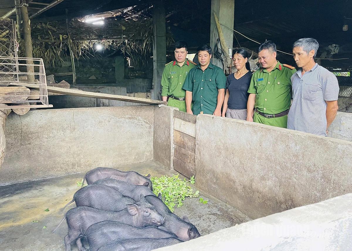 Hội Cựu chiến binh và Công an xã Linh Hồ tham quan mô hình phát triển kinh tế của gia đình ông Nguyễn Đức Trung, thôn Nà Chà.