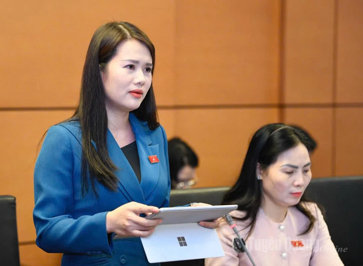 Đại biểu Vương Thị Hương phát biểu thảo luận.
