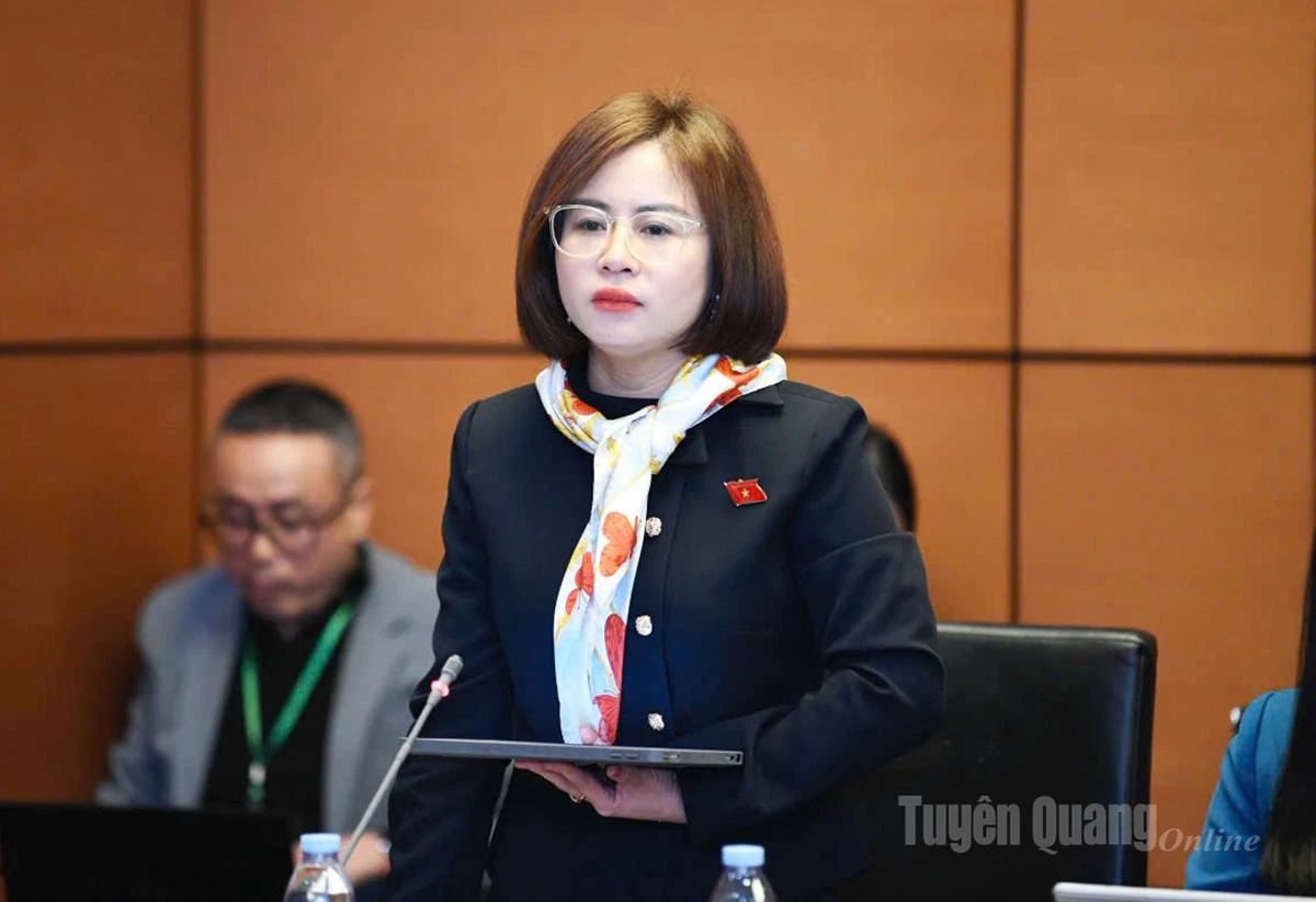 Đại biểu Nguyễn Việt Hà phát biểu thảo luận.
