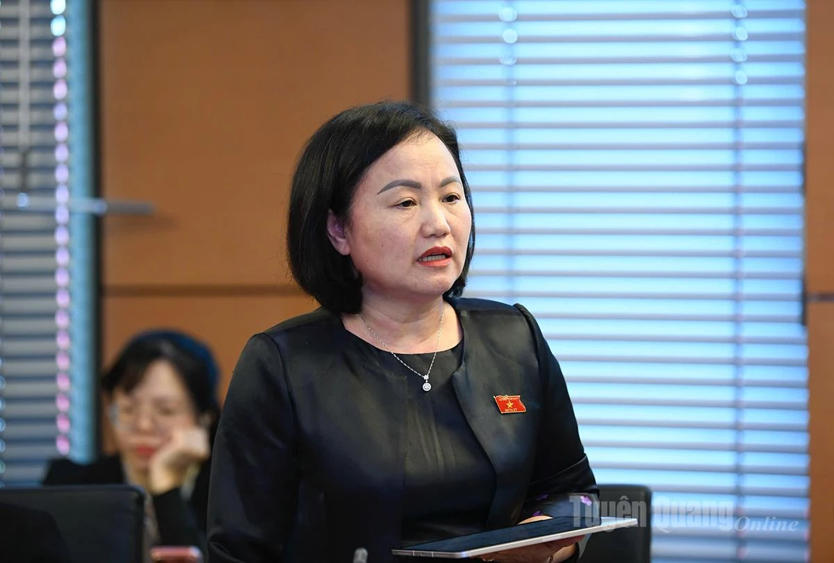 Đại biểu Phạm Thúy Chinh phát biểu thảo luận.