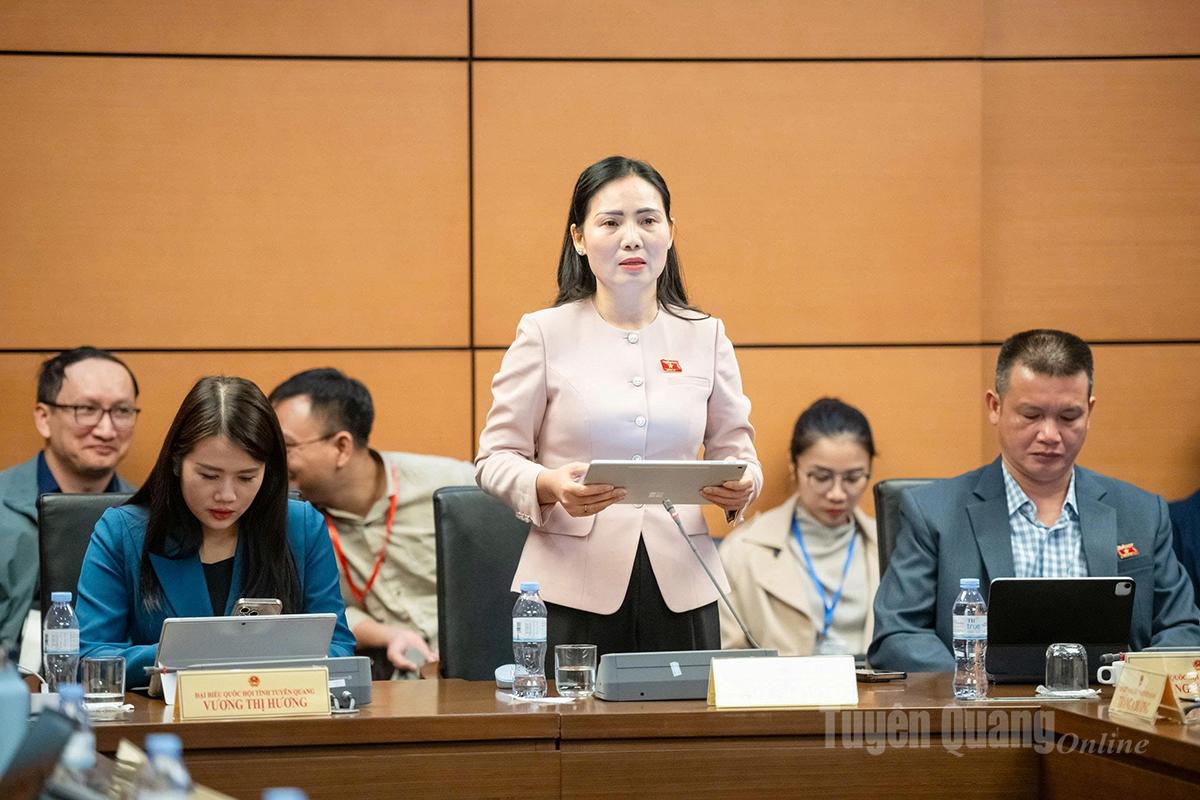 Đại biểu Âu Thị Mai phát biểu thảo luận.