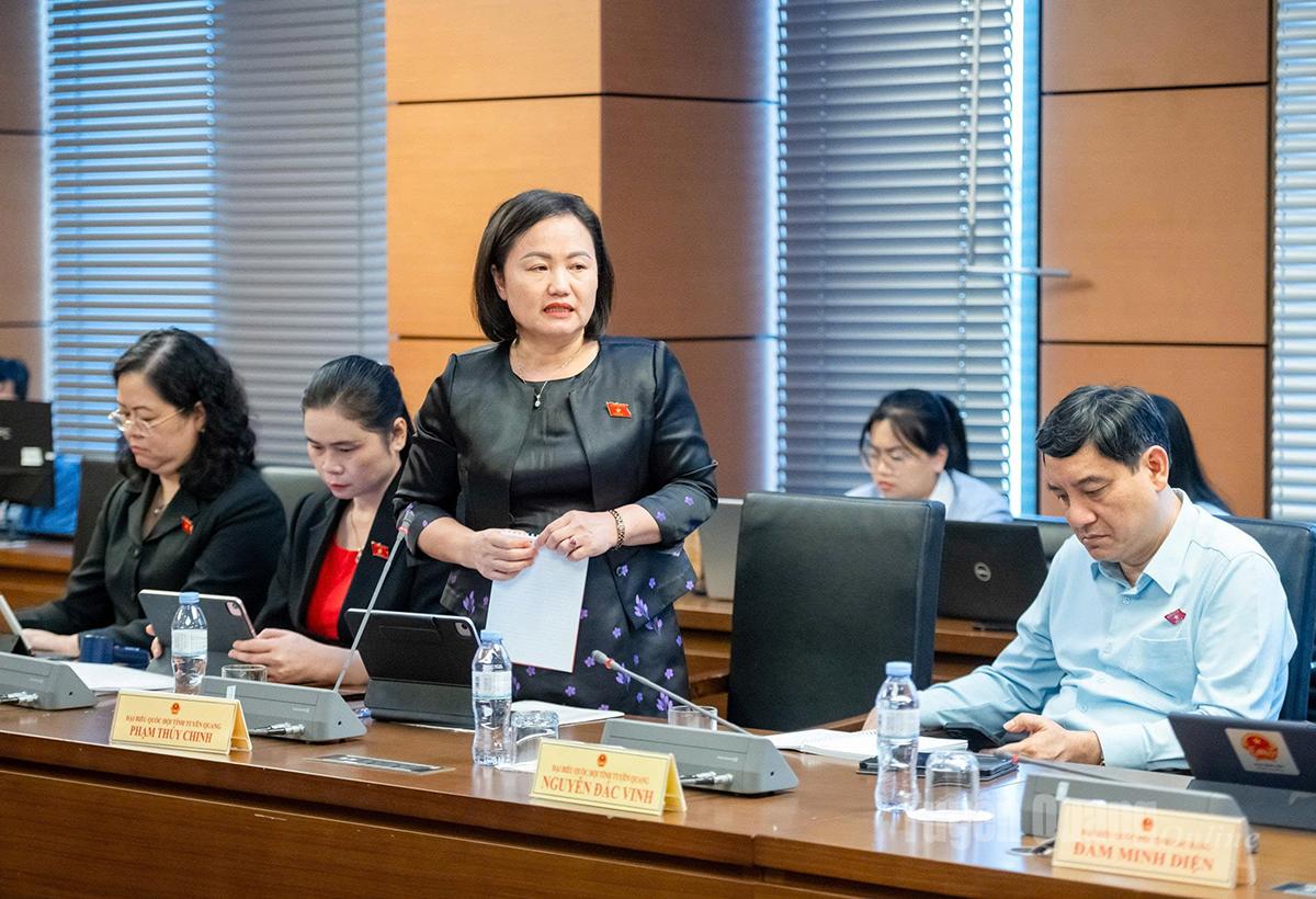 Đại biểu Phạm Thúy Chinh phát biểu thảo luận.