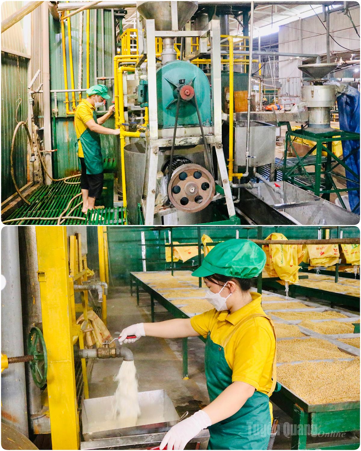 Đậu tương sau khi ngâm với nước 8 tiếng sẽ cho vào máy xay nhỏ, lọc qua 3 bước để được thành phẩm sữa đậu sánh mịn.