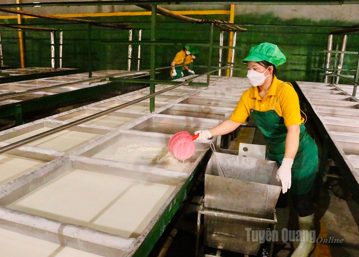 Người thợ thực hiện công đoạn đổ sữa đậu vào khuôn với sự tỉ mỉ và chính xác. Công đoạn quan trọng quyết định độ mịn và độ dày của tấm váng.
