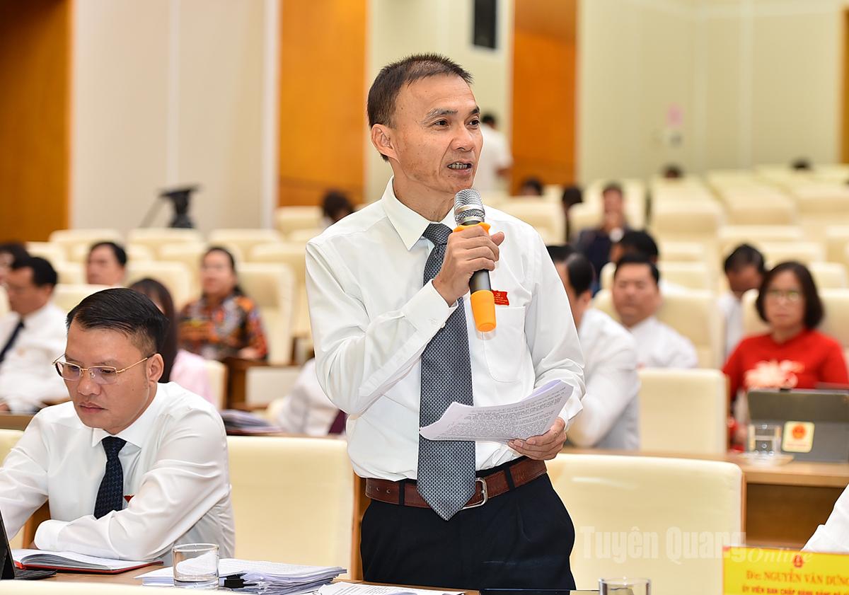 Trưởng ban Kinh tế - Ngân sách HĐND tỉnh Trần Thanh Thủy phát biểu tại kỳ họp.