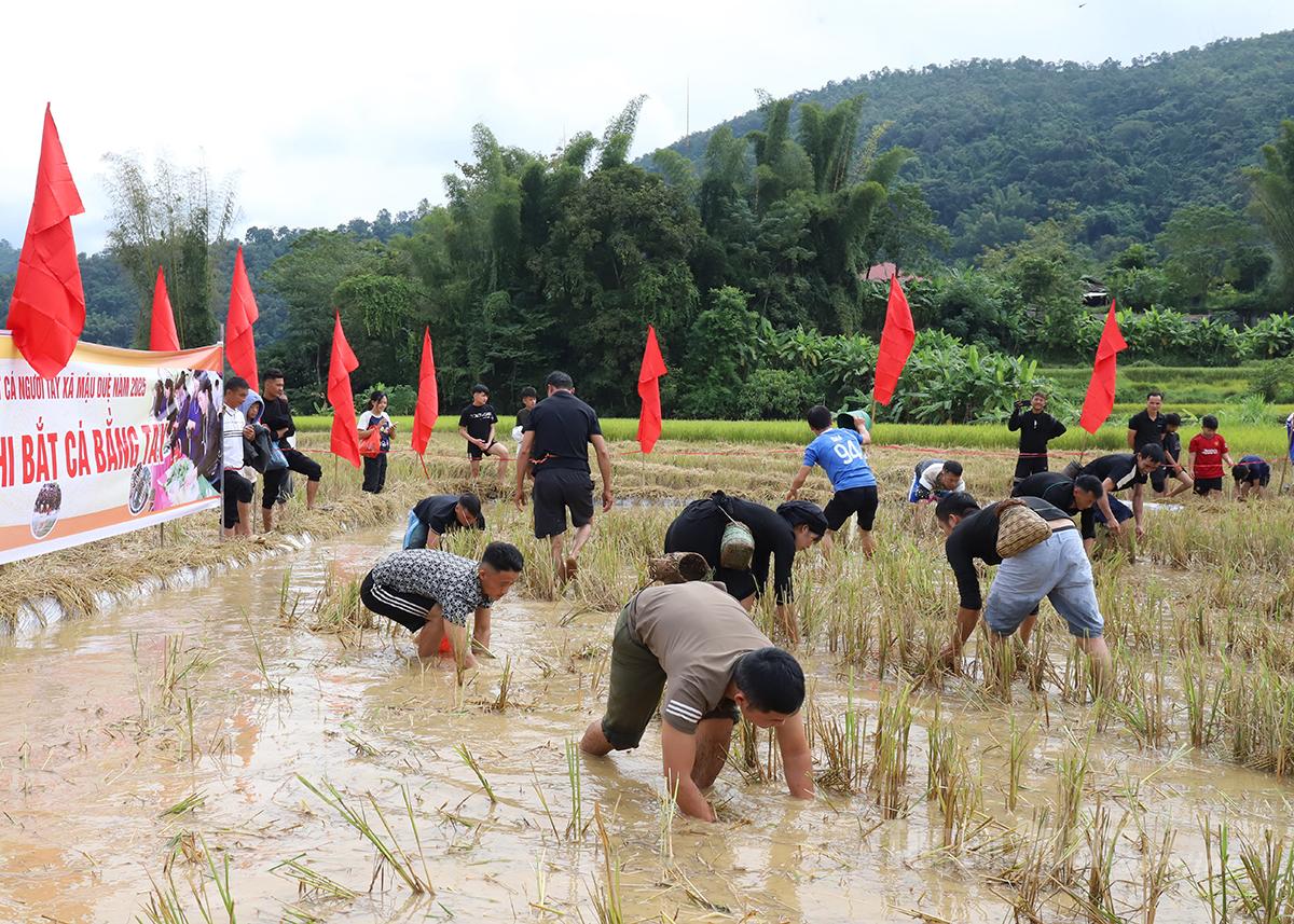 Đông đảo người dân tham gia thi bắt cá.