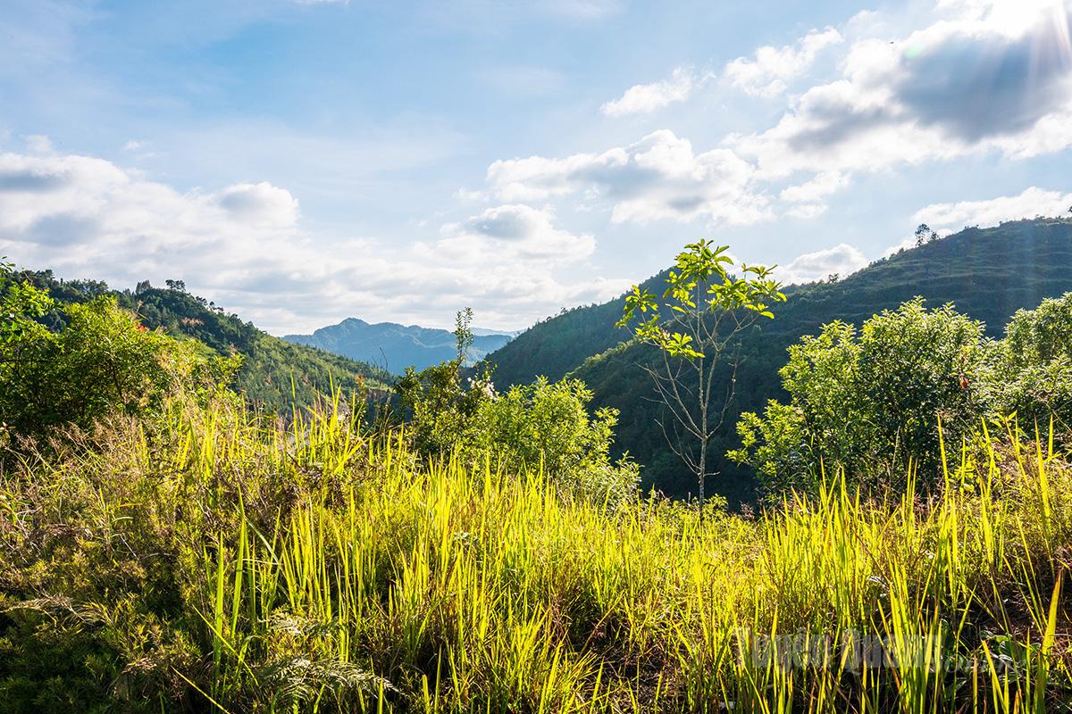 Sunset glow at the border areas.