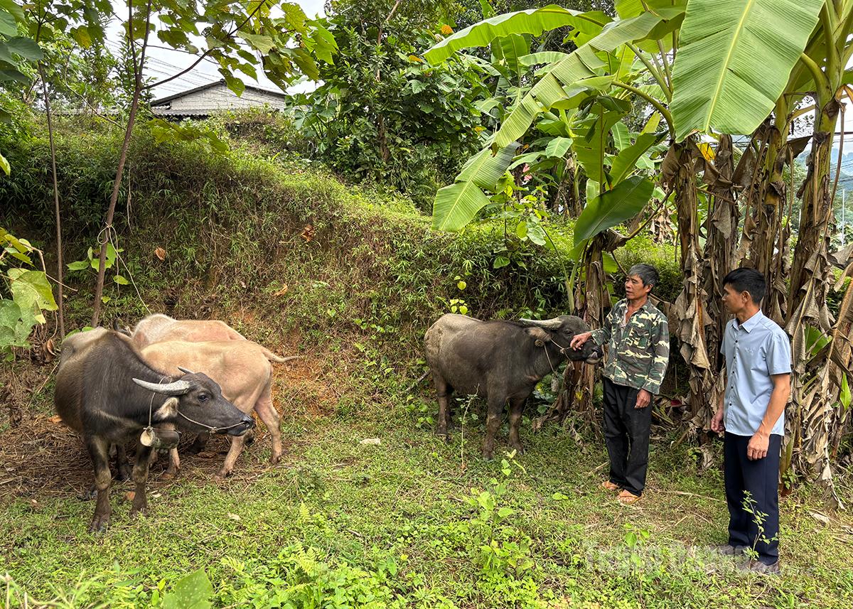 Nhiều chính sách giúp đồng bào dân tộc thiểu số ở xã Mậu Duệ phát triển kinh tế, ổn định cuộc sống.