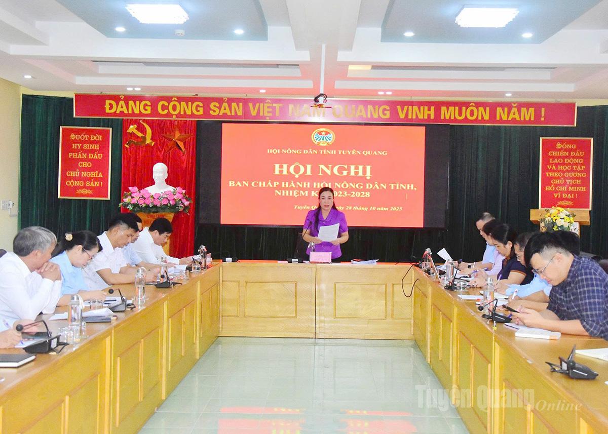 Lãnh đạo Hội Nông dân tỉnh chủ trì hội nghị.