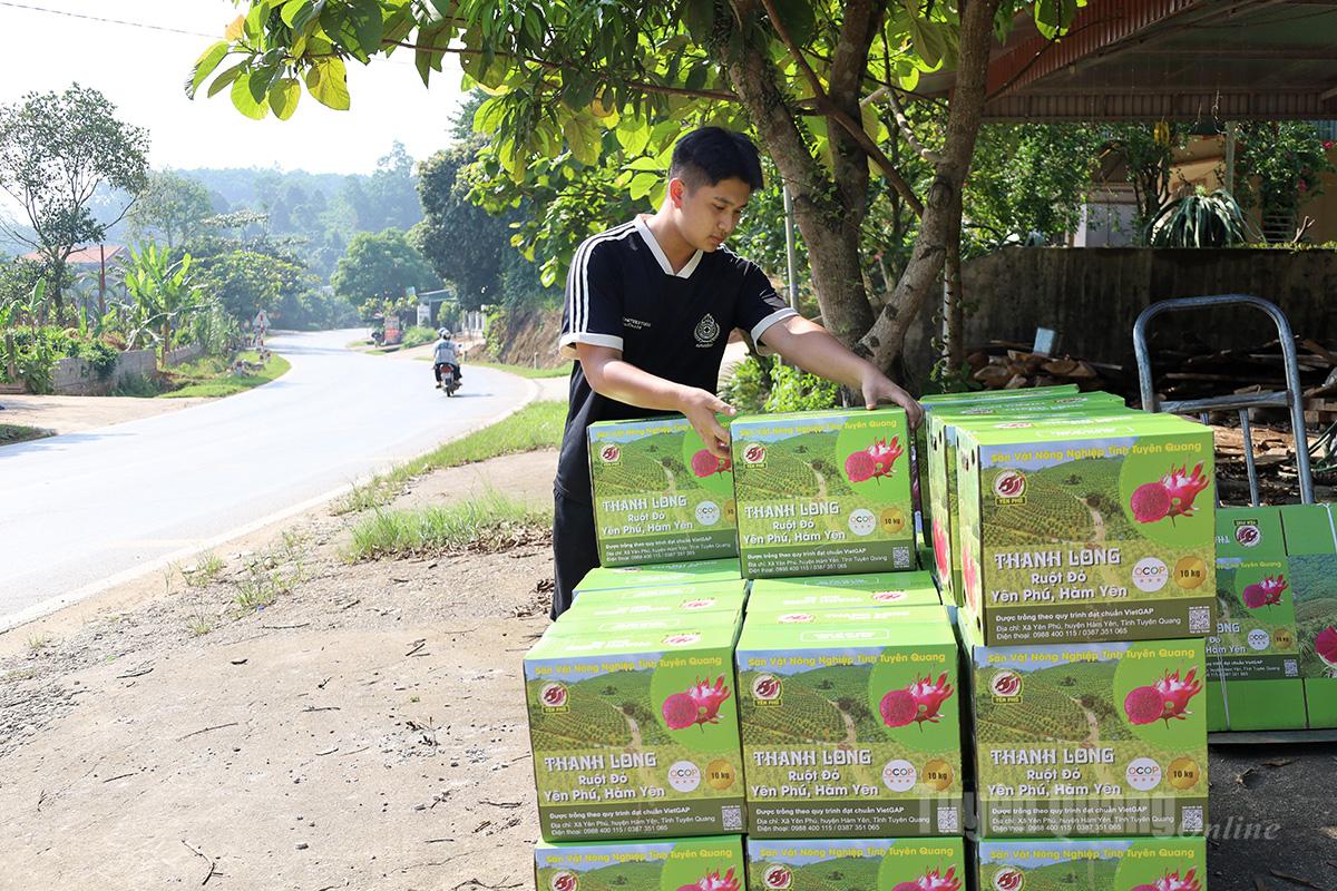 Những thùng thanh long được tập kết, sẵn sàng lên xe chở đi các tỉnh, cửa hàng nông sản, mang theo niềm tin và khát vọng vươn lên làm giàu của người dân Yên Phú.