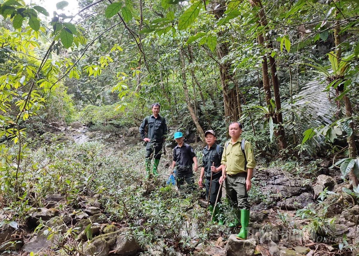 Thành viên tổ bảo vệ rừng thôn Nà Tông cùng lực lượng chức năng xã Thượng Lâm tuần tra bảo vệ rừng.