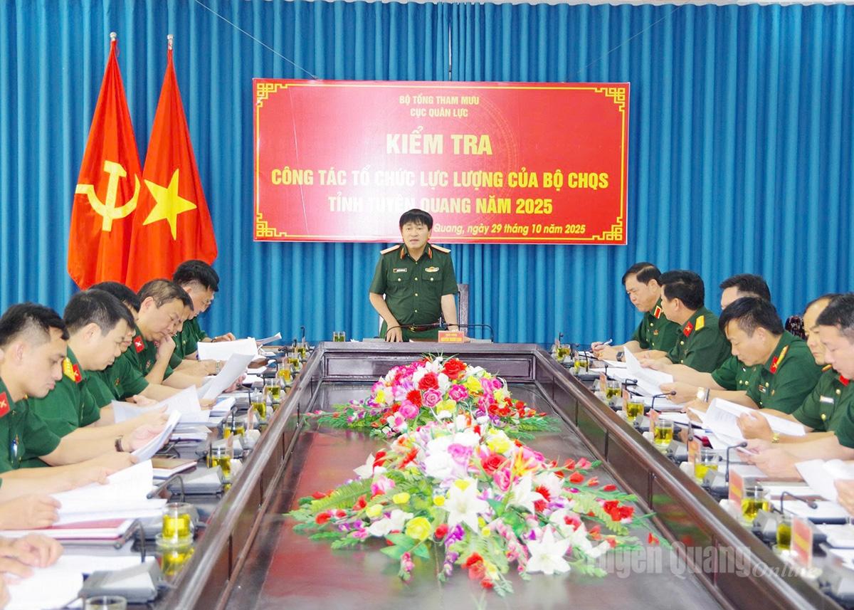 Thiếu tướng Nguyễn Thành Long, Phó Cục trưởng Cục Quân lực kết luận kiểm tra.