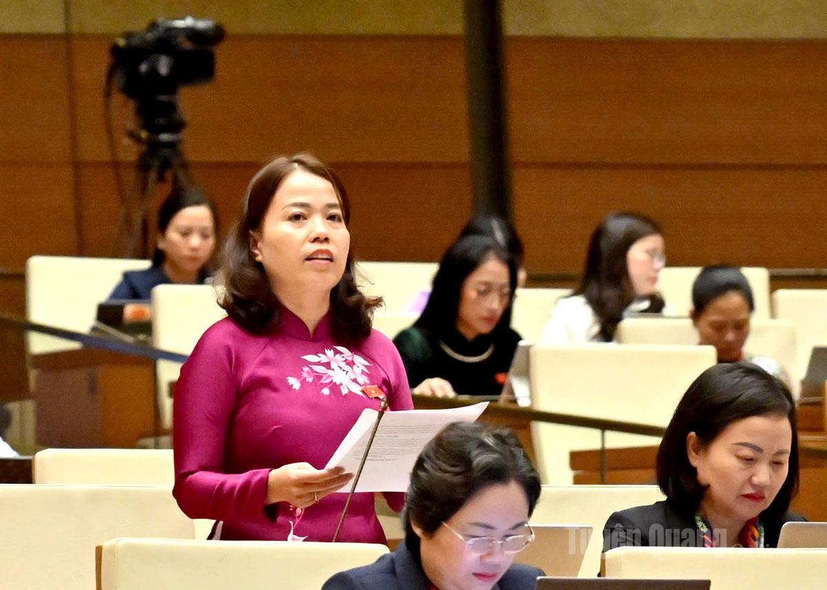 Trưởng Đoàn ĐBQH tỉnh Lý Thị Lan phát biểu thảo luận.